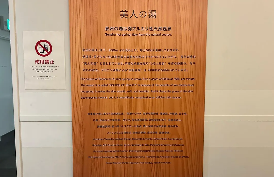 Henn Na Resort & Spa Kansai Airport-1